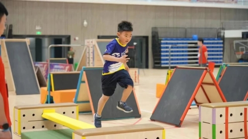 2026信奥赛辅导机构大揭秘：这些机构的教材竟如此惊艳！